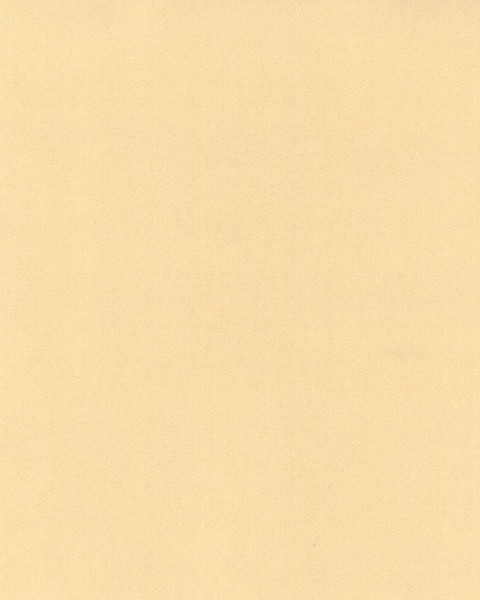 Hattan Palette | 05 Honey